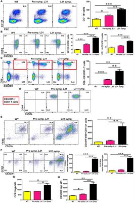 CX3CR1 But Not CCR2 Expression Is Required for the Development of Autoimmune Peripheral Neuropathy in Mice